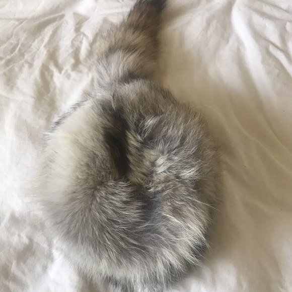 Genuine Vintage Fur Hat, Small Size, Davy Crocket Style, Excellent Condition - Picture 3 of 5